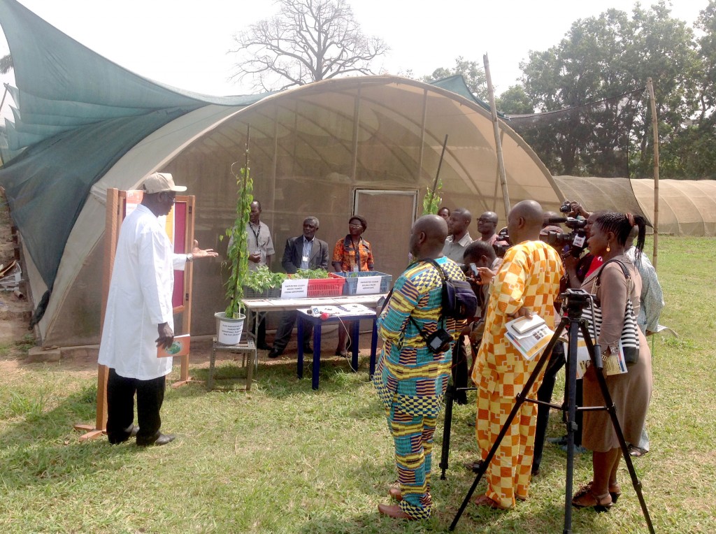 L-R: Dr Maroya, Annang, Asiedu, Aighewi and members of the press at   the unveiling of the new seed yam propagation technique in IITA Ibadan