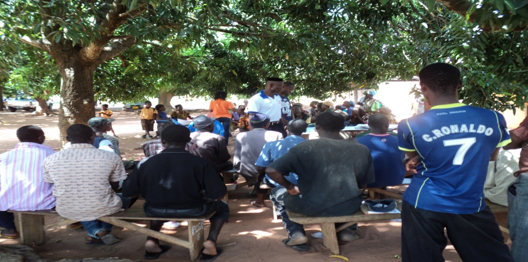 Participants during the community analysis in Ashanti.
