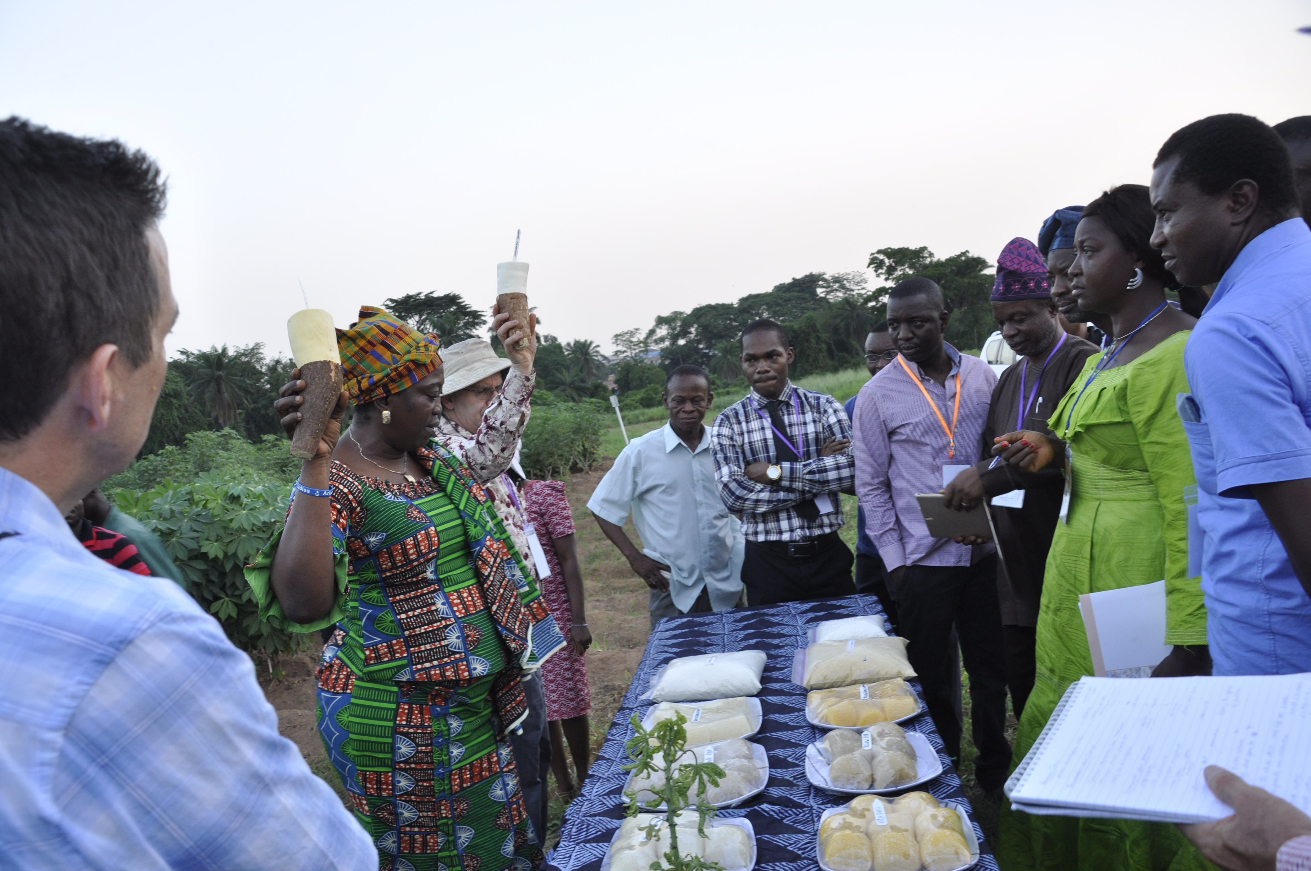 Dr Elizabeth Parkes and Dr Peter Kulakow show a range of finished products from both the white and yellow-fleshed cassava varieties to workshop participants during a field tour.