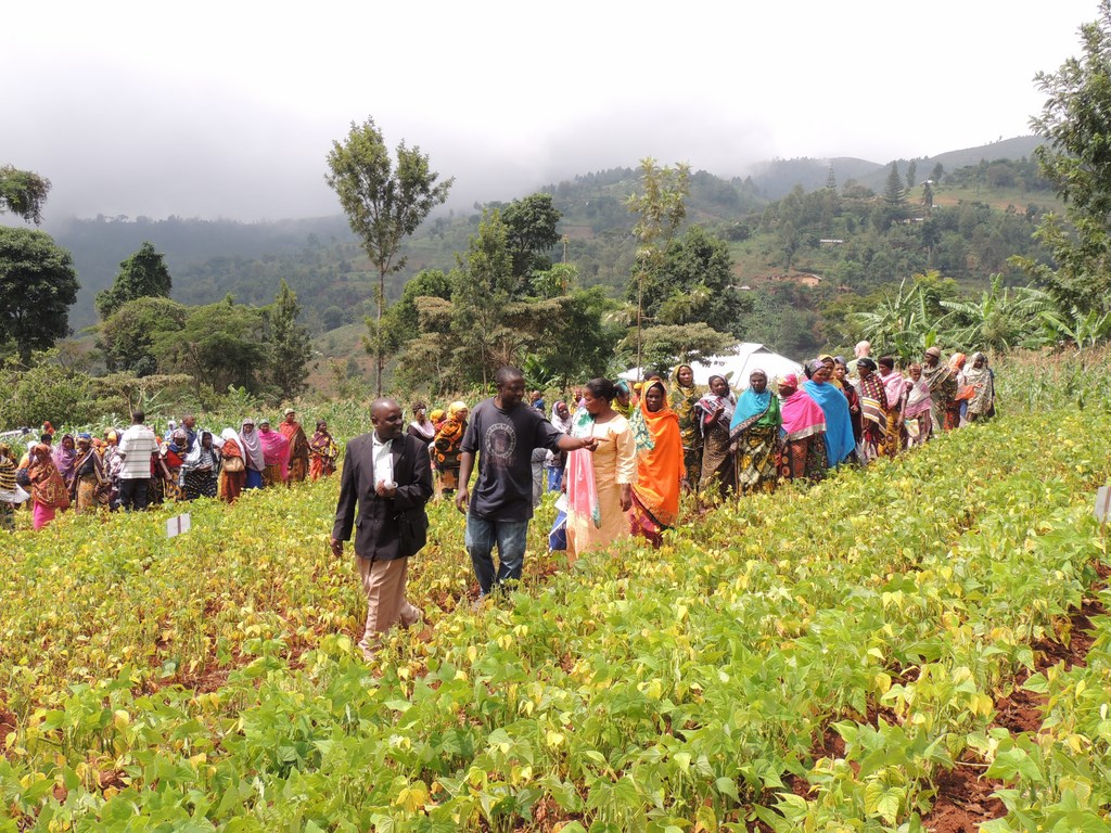 An N2Africa farmers’ field day in Tanzania showcases modern legume-growing technologies.
