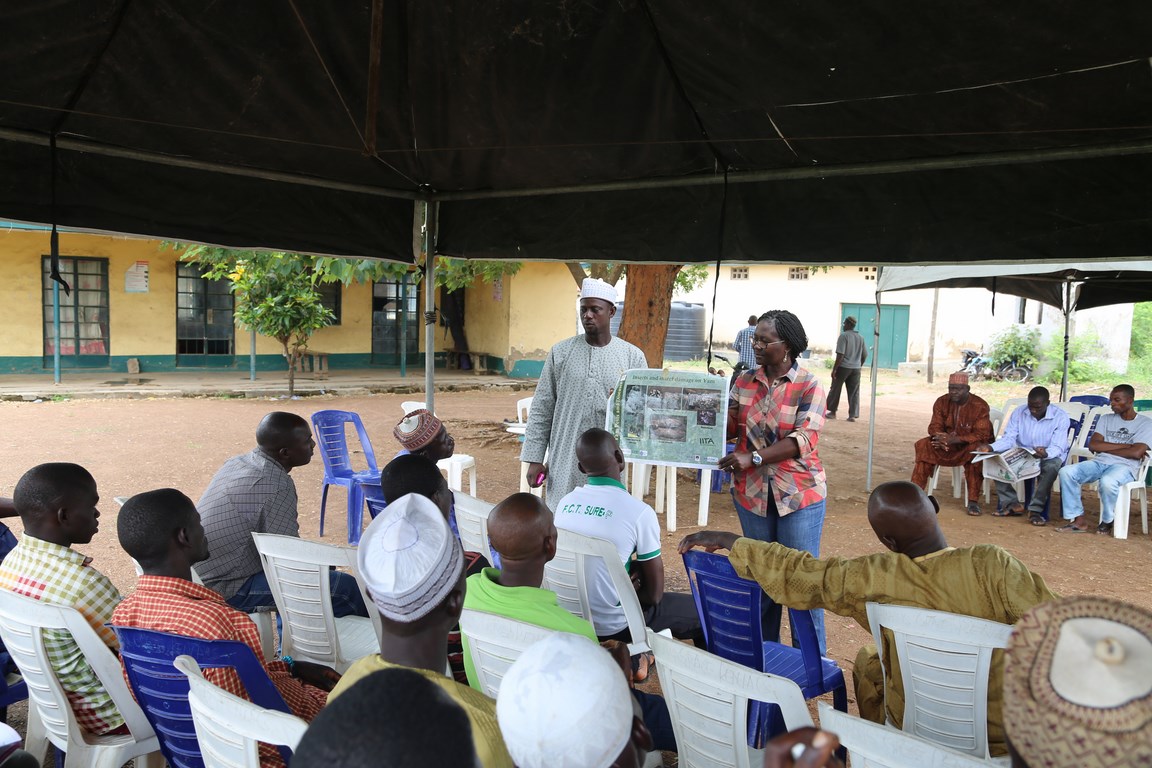 Dr Beatrice Aighewi of YIIFSWA explains about the pests and diseases affecting yam.