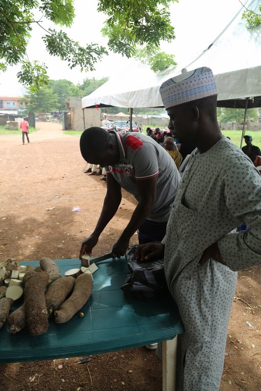 Farmer practices how to cut yam tubers into minisetts.