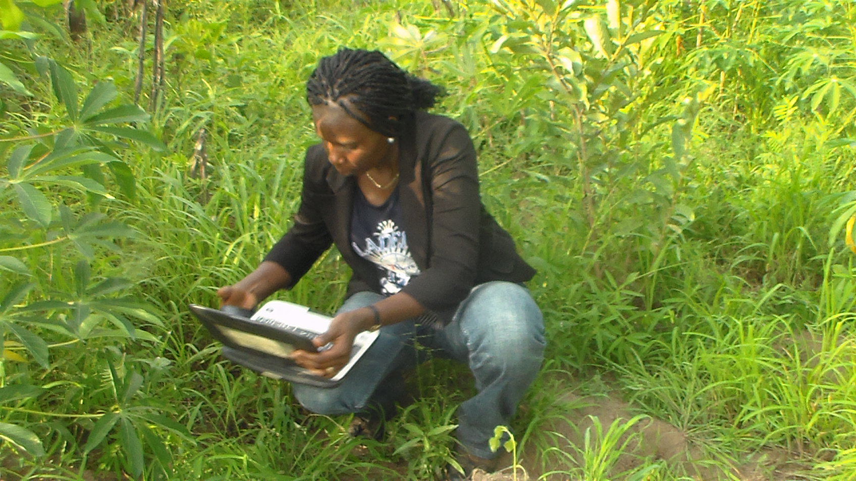 Ms Funke Akomalafe, a trainee, practicing how to capture the agronomic characteristics of cassava on the field.
