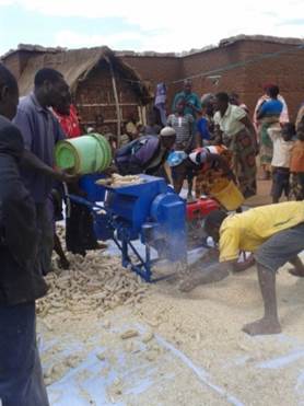 Farmers shelling maize at Yohana Isaya’s farm during the postharvest training organized by the Africa RISING–NAFAKA scaling project in Ndurugumi village.