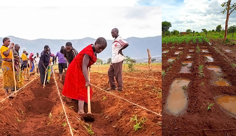 How to build a vibrant, sustainable sub-national Climate-Smart Agriculture alliance: Lessons from District CSA alliances in Tanzania