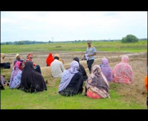 IITA field assistant training farmers in Zanzibar how to construct bunds to grow rice