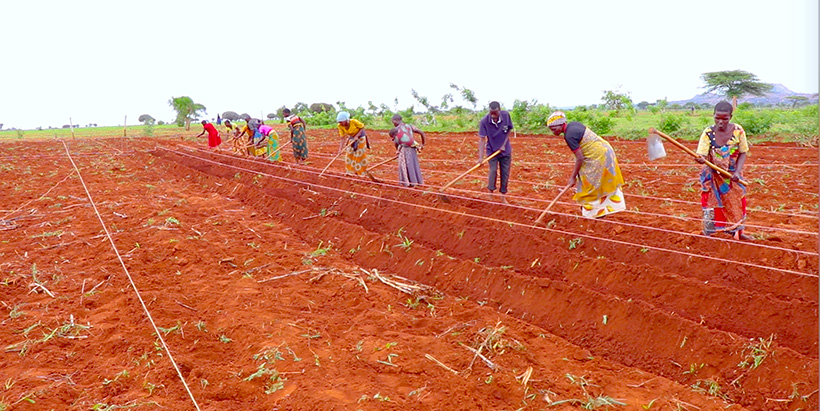 Farmers in Tanzania learning to cope with climate change