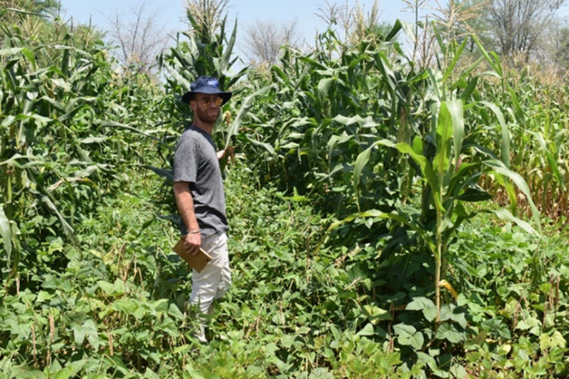 EU DeSIRA Programme Manager in Malawi, Marco Vacirca, on one of the on-farm trials in Salima at Mr. Levson Chulu’s farm.