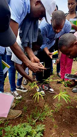 Trainers received hands-on guidance on utilizing IITA's digital tools, including the PlantVillage Nuru App and Seed Tracker, to identify cassava symptoms and diseases in the field