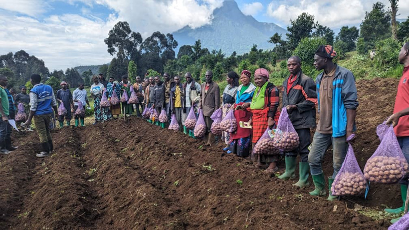 Farmers in the Northern Province of Rwanda received improved potato seeds and were trained in good agronomic practices at a demonstration plot.