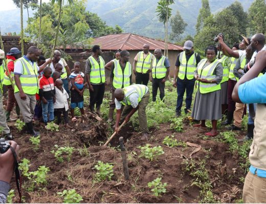 A farmer from Kasese district in Uganda demonstrating how to uproot a plant infected with BBTV