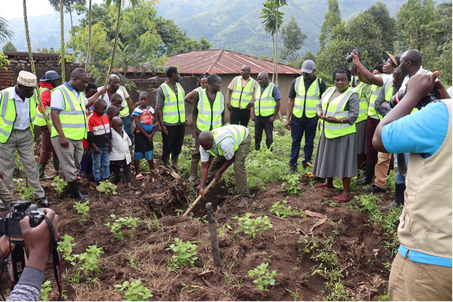 A farmer from Kasese district in Uganda demonstrating how to uproot a plant infected with BBTV