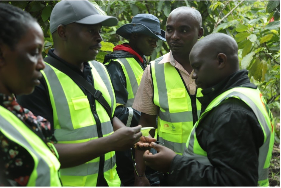 Dr. George Mahuku showing farmers the banana aphid that causes BBTD