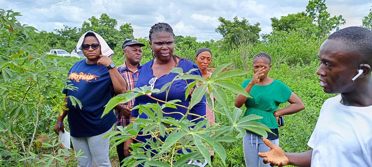 The inspection Committee discussing with Tricot farmers at Agunrege, Atisbo LGA, Oyo state. Photo credit Peter Iluebbey.