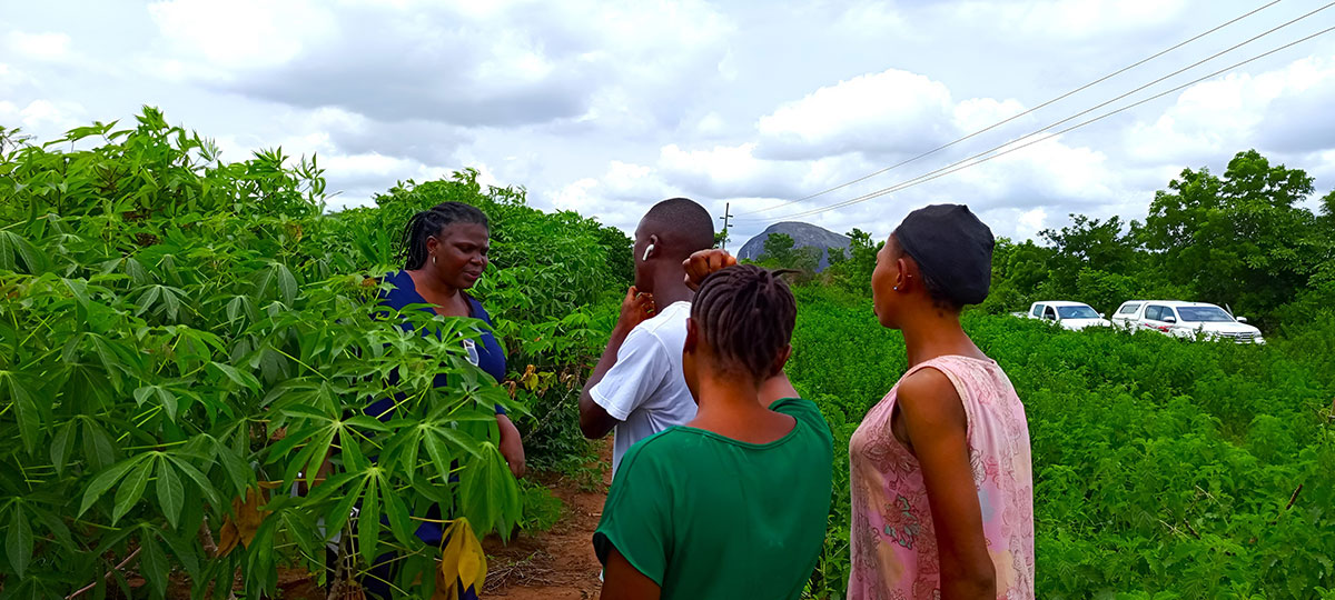 The team at one of the Tricot farmers’ farms at Agunrege, Atisbo LGA of Oyo state. Photo credit Peter Iluebbey.