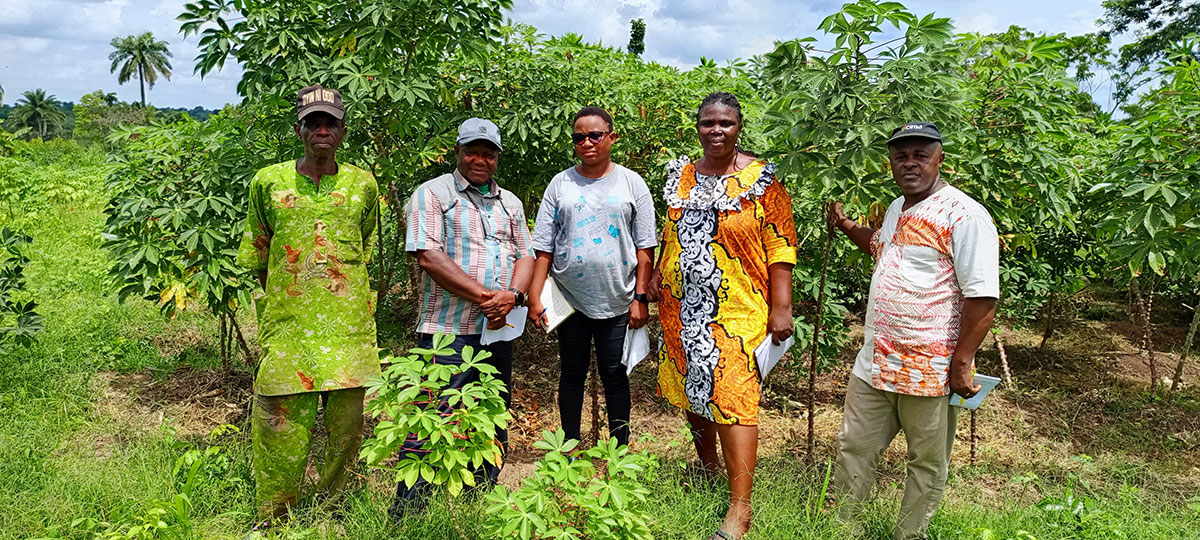 The team during inspection of a Tricot farmer’s field at Oke-Otin, Okuku, Odo-Otin LGA, Osun state. Photo Credit Bello Abolore.