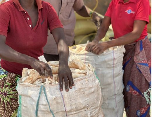 Cassava Entrepreneurs packaging sacks of dried cassava. Photo Credit: Sarah Msita