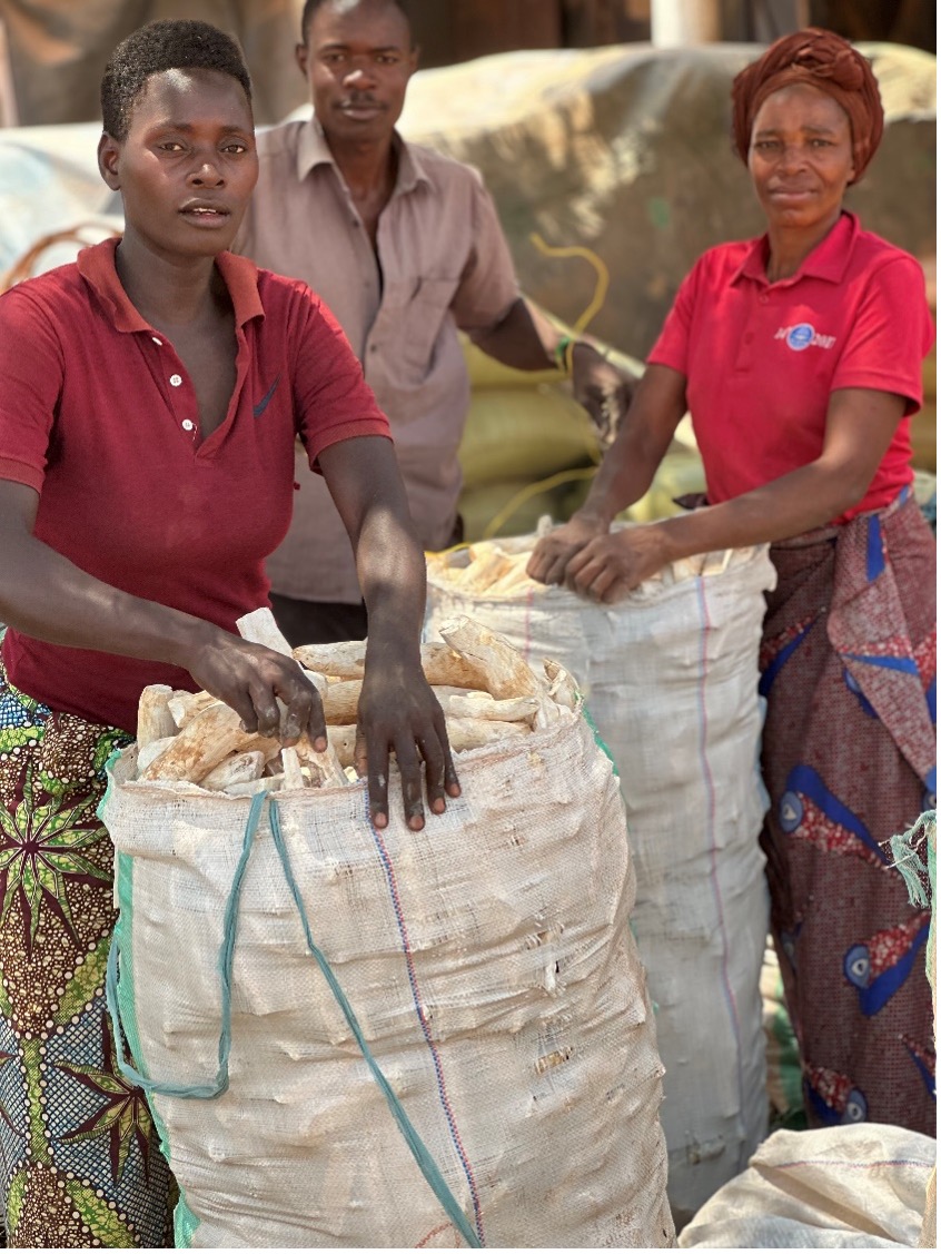 Cassava Entrepreneurs packaging sacks of dried cassava. Photo Credit: Sarah Msita