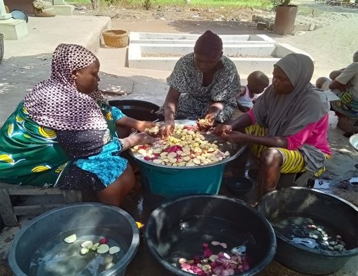 Women in Osun State sorting Kolanuts by diverse customers preferred colour to be sold on market day