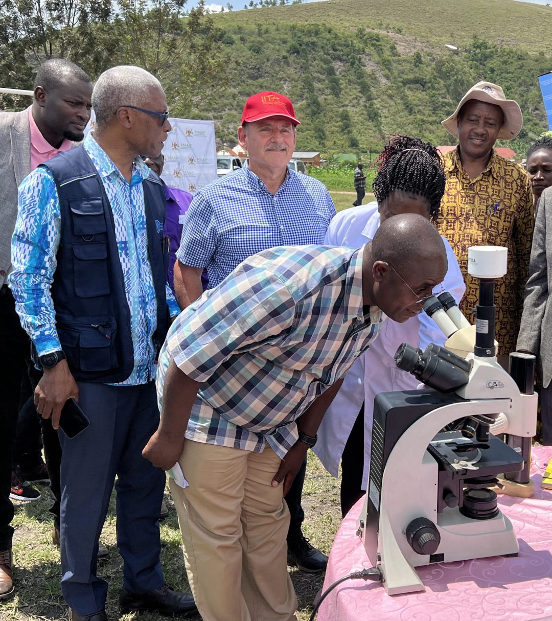 Inaugural releases of biocontrol agents against the mango mealybug, attended by the State Minister for Agriculture Hon. Fred Bwiino Kyakulaga, FAO and senior government officials, and IITA's Georg Goergen (Image Credit: IITA)