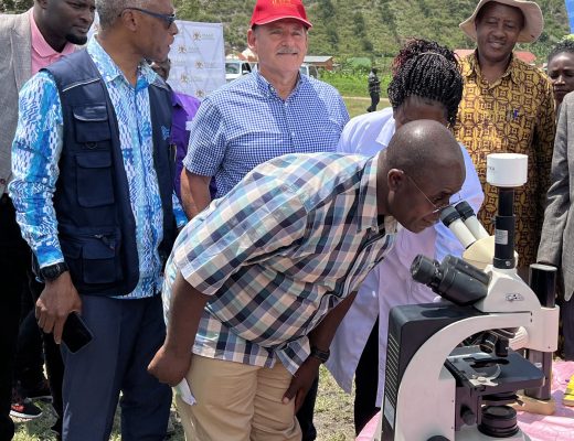 Inaugural releases of biocontrol agents against the mango mealybug, attended by the State Minister for Agriculture Hon. Fred Bwiino Kyakulaga, FAO and senior government officials, and IITA's Georg Goergen (Image Credit: IITA)