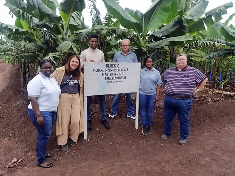 Assoc. Prof Therese Bengtsson (2nd left) and Prof. Rodomiro Ortiz (right) from SLU, with Dr Violet Akech (2nd right) and IITA team visiting Mchare hybrid evaluation trials at IITA in Arusha.