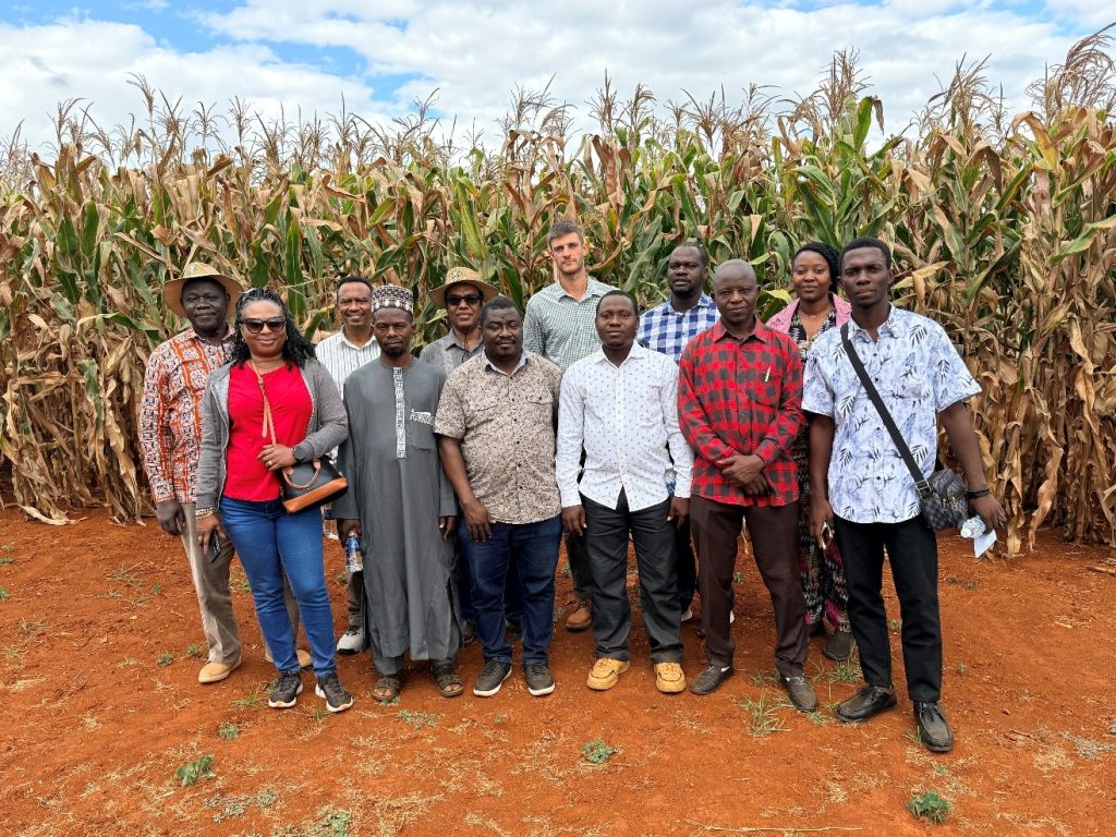 At the SEED CO seed processing lab in Zimbabwe. 