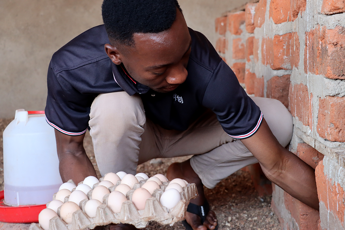 Innovative constructions introduced in communities for better chicken farming.