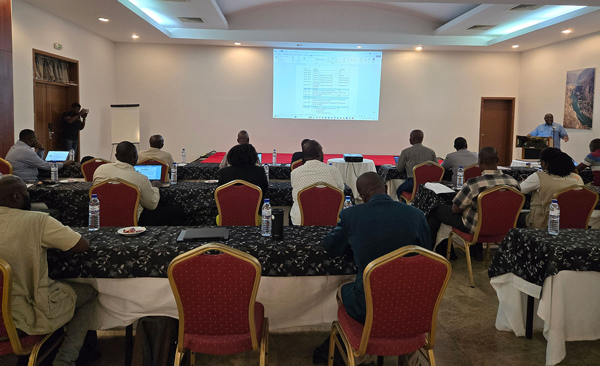 Workshop session in Zambia.