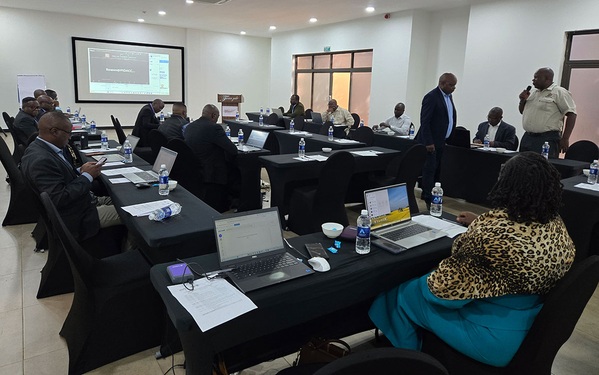 Workshop session in Mozambique.
