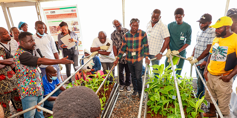 Temitope Ademulegun introducing the participants to the IITA standard macropropagators.