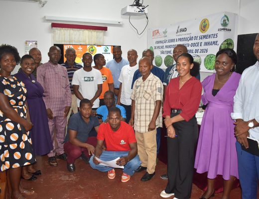 Workshop session in Mozambique.