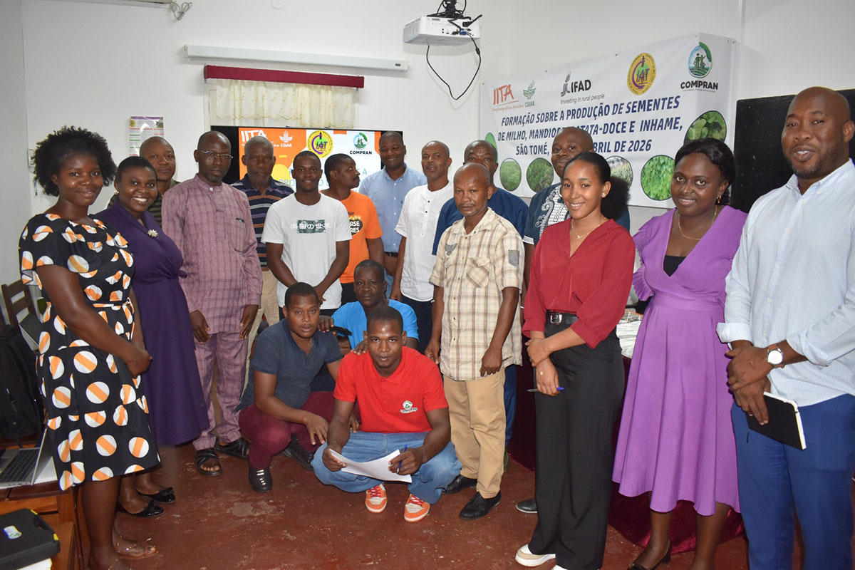 Workshop session in Mozambique.