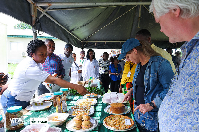 CGIAR Chief Scientist Dr Sandra Milach exploring the value addition display while visiting the IITA yam program team.