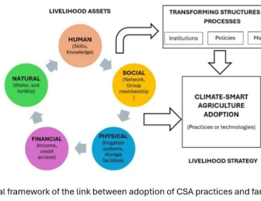 Conceptual framework.