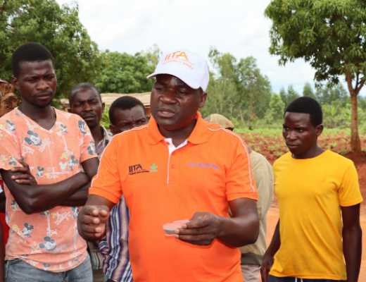 IITA representative shares impact of agricultural research, newly released crop varieties and approaches for accelerating innovation delivery to smallholder farmers during a MAAP podcast at FACIM.