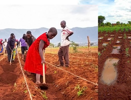 How to build a vibrant, sustainable sub-national Climate-Smart Agriculture alliance: Lessons from District CSA alliances in Tanzania